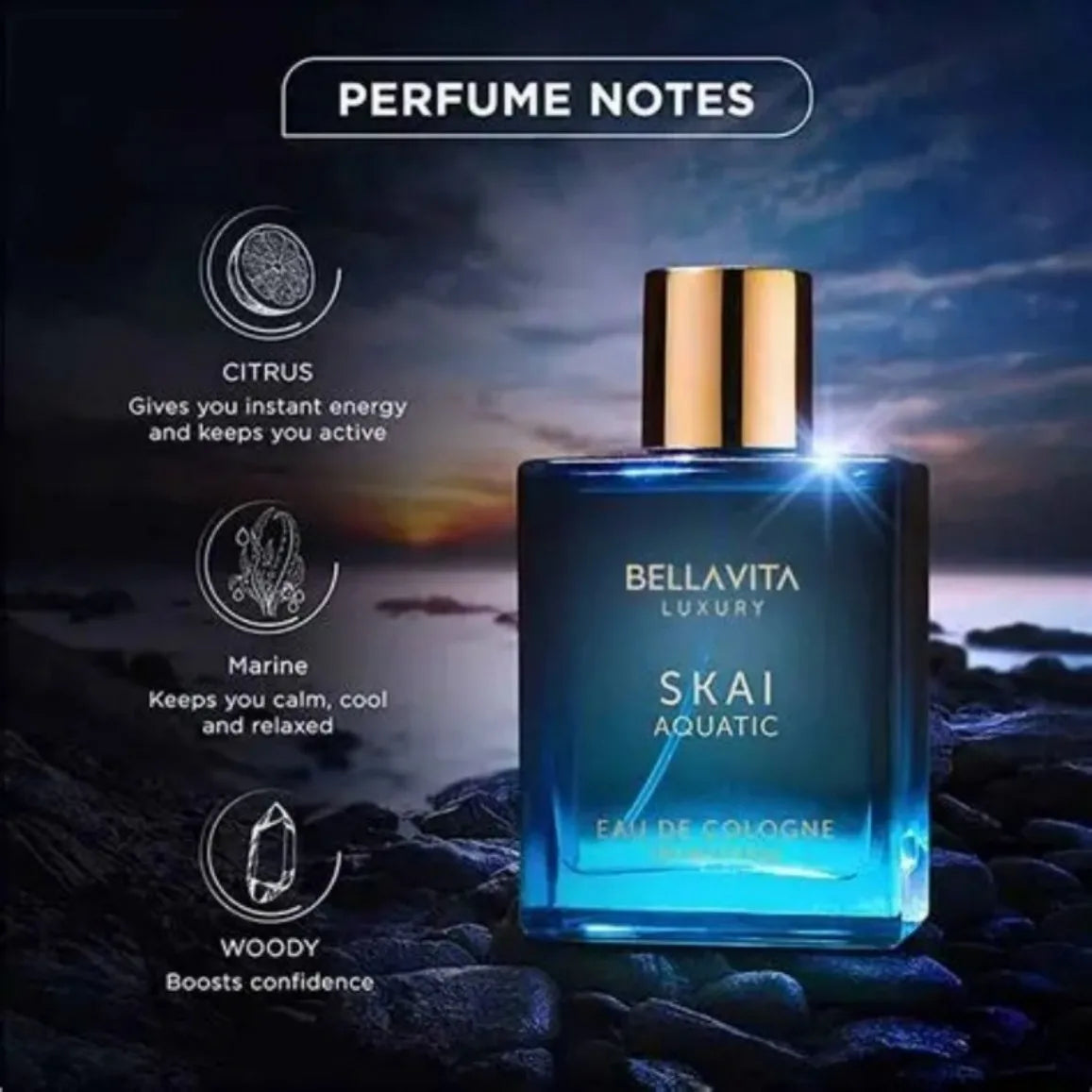 Bella Vita Luxury Skai Aquatic Men's Cologne 3.4oz(100mL)