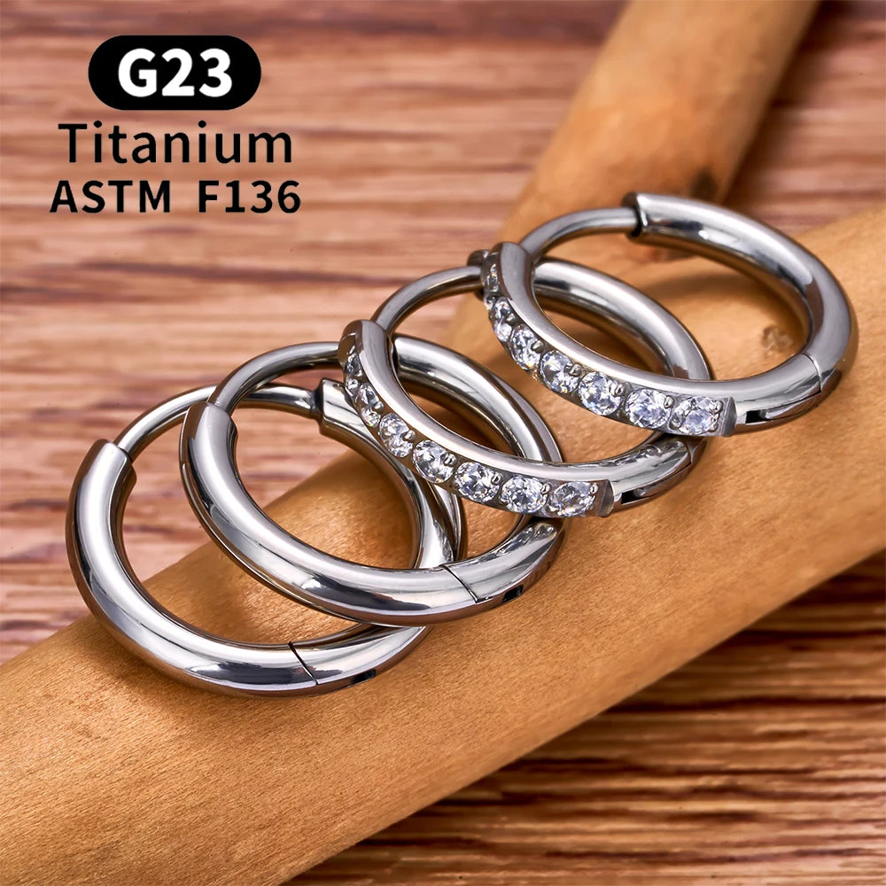 G23 Titanium Stud Earrings (with Cubic Zirconia Inlay)