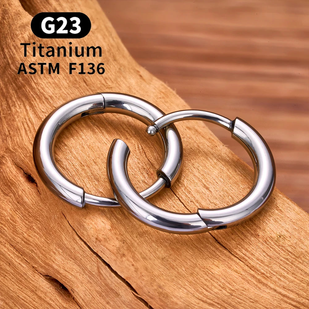 G23 Titanium Stud Earrings (with Cubic Zirconia Inlay)