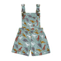 Overalls