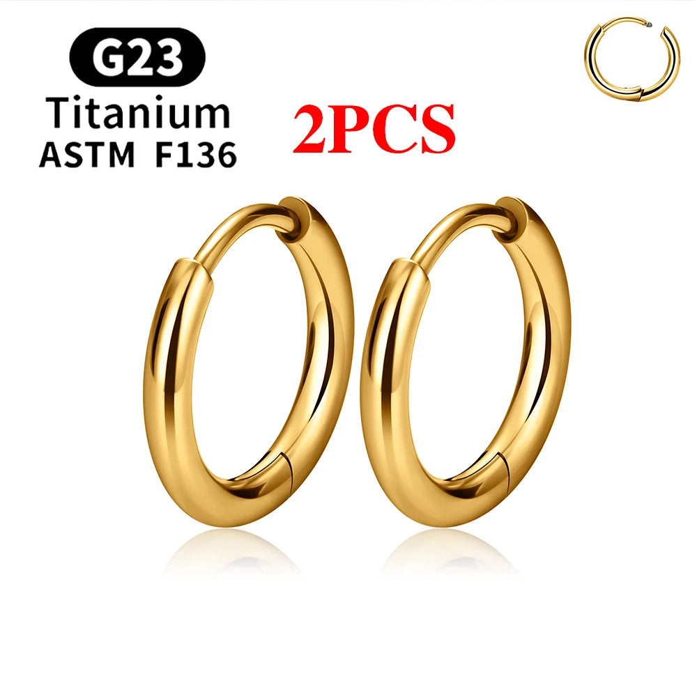 G23 Titanium Stud Earrings (with Cubic Zirconia Inlay)